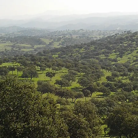 El Añadío 3*