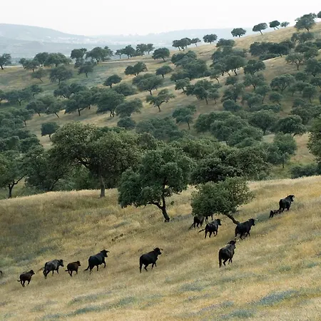 埃尔ana 招待所 4*