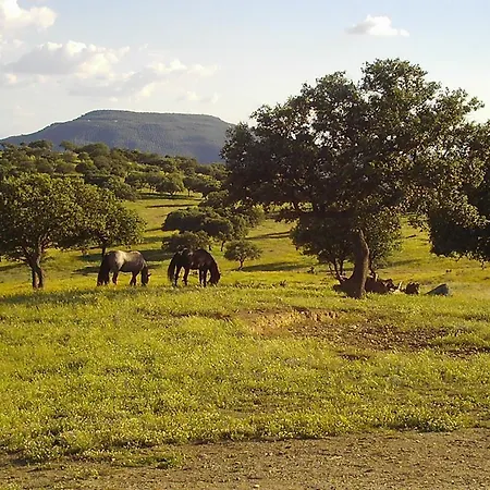 埃尔ana 招待所 Vilches
