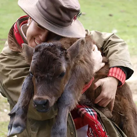 埃尔ana 4* Vilches