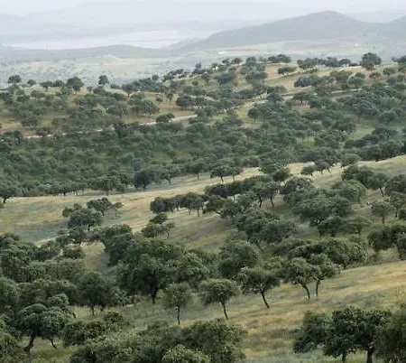 招待所 埃尔ana Vilches