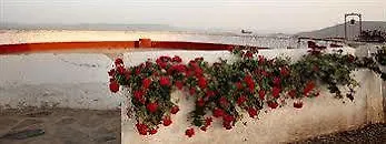 埃尔ana 4* Vilches