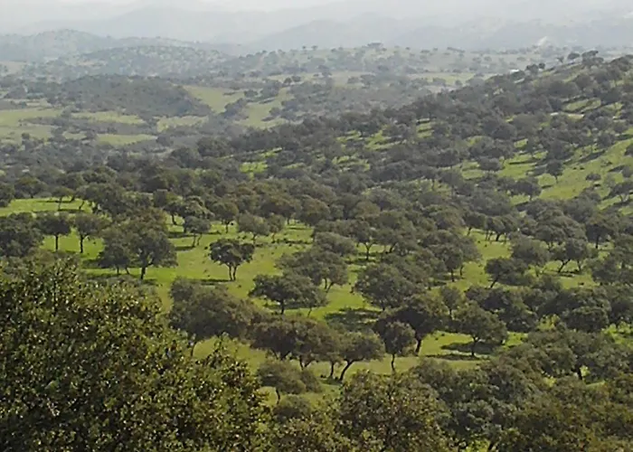 Rusticae El Anadio 4*
