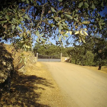 El Anadio