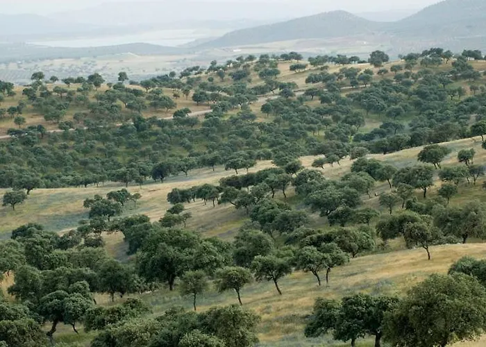 El Anadio 4* Vilches