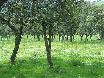 Guest house El Anadio